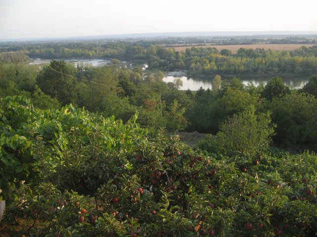 finnek 2011 031